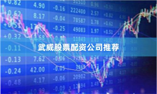 武威股票配资公司推荐